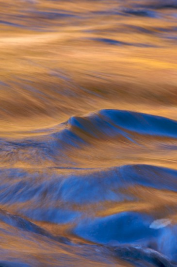 Abstract;Abstractions;Autumn;Big South Fork National Recreation Area;Blue;Brook;Creek;Fall;Foliage;Gold;Leaf;Leafy;Leaves;Orange;Patterns;Pine;Red;Reflection;Reflections;River Bed;Riverbed;Rivers;Shapes;Stream;Tennessee;Textures;water;Water;waterway;Yellow